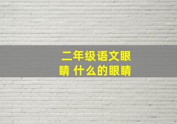 二年级语文眼睛 什么的眼睛